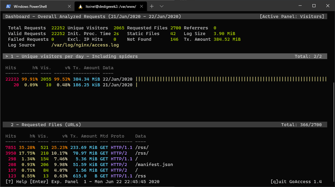 goaccess-terminal