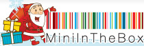 www.miniinthebox.jpg