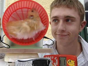 hamster,portable,chargeur