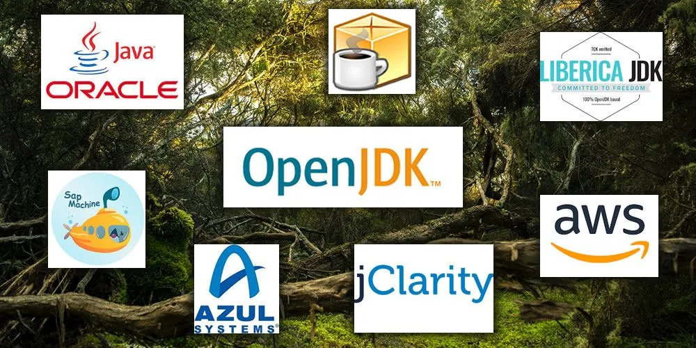 Oracle JDK, OpenJDK, AdoptOpenJDK, Amazon Corretto :  Ne vous perdez plus dans la Jungle des JDK !