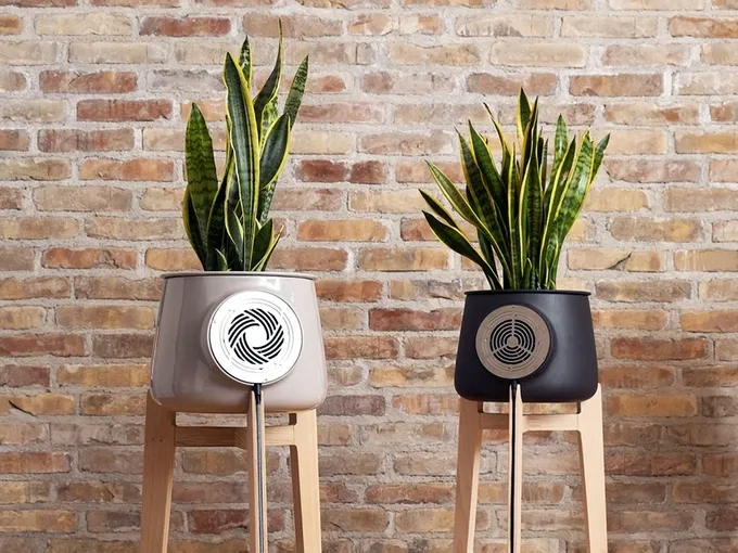 Clairy : Le pot de plante qui dépollue l'air intérieur