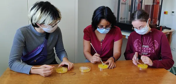 CNRS : Inscrivez-vous à l'expérience autour du BLOB !