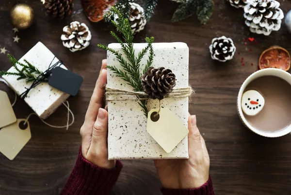 5 idées de cadeaux High-Tech pour Noël : Mini-Drone, assistant vocal, casque, robot ...